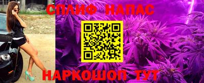 гашик Краснознаменск