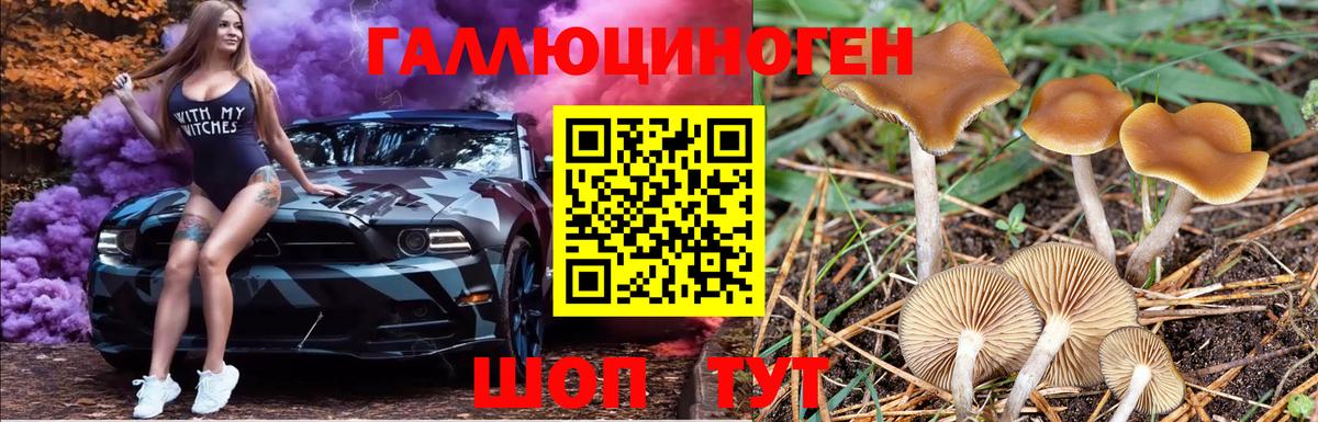 Псилоцибиновые грибы мухоморы Знаменск